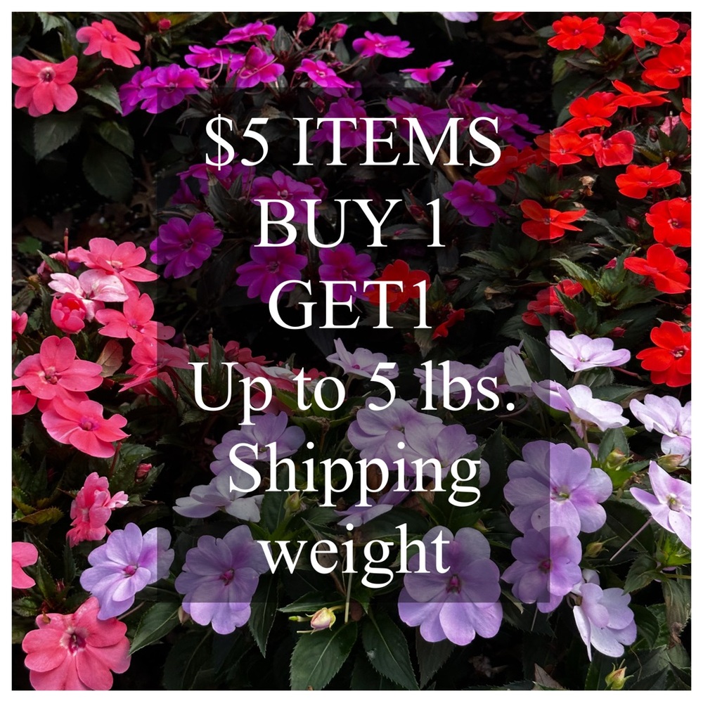 $5 Items BOGO!
